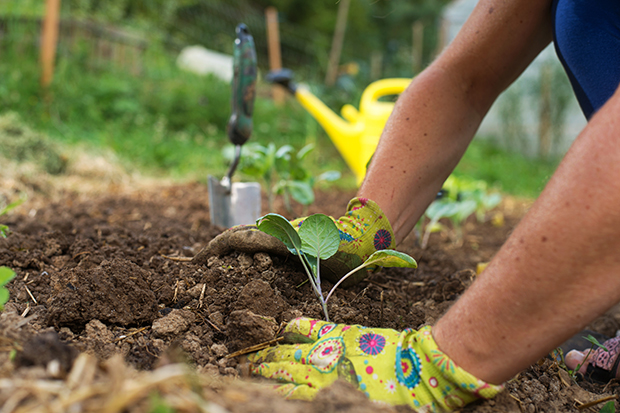 Spring Sprained Spring has Sprung Avoid Sprain or Strain - HealthyCells Magazine